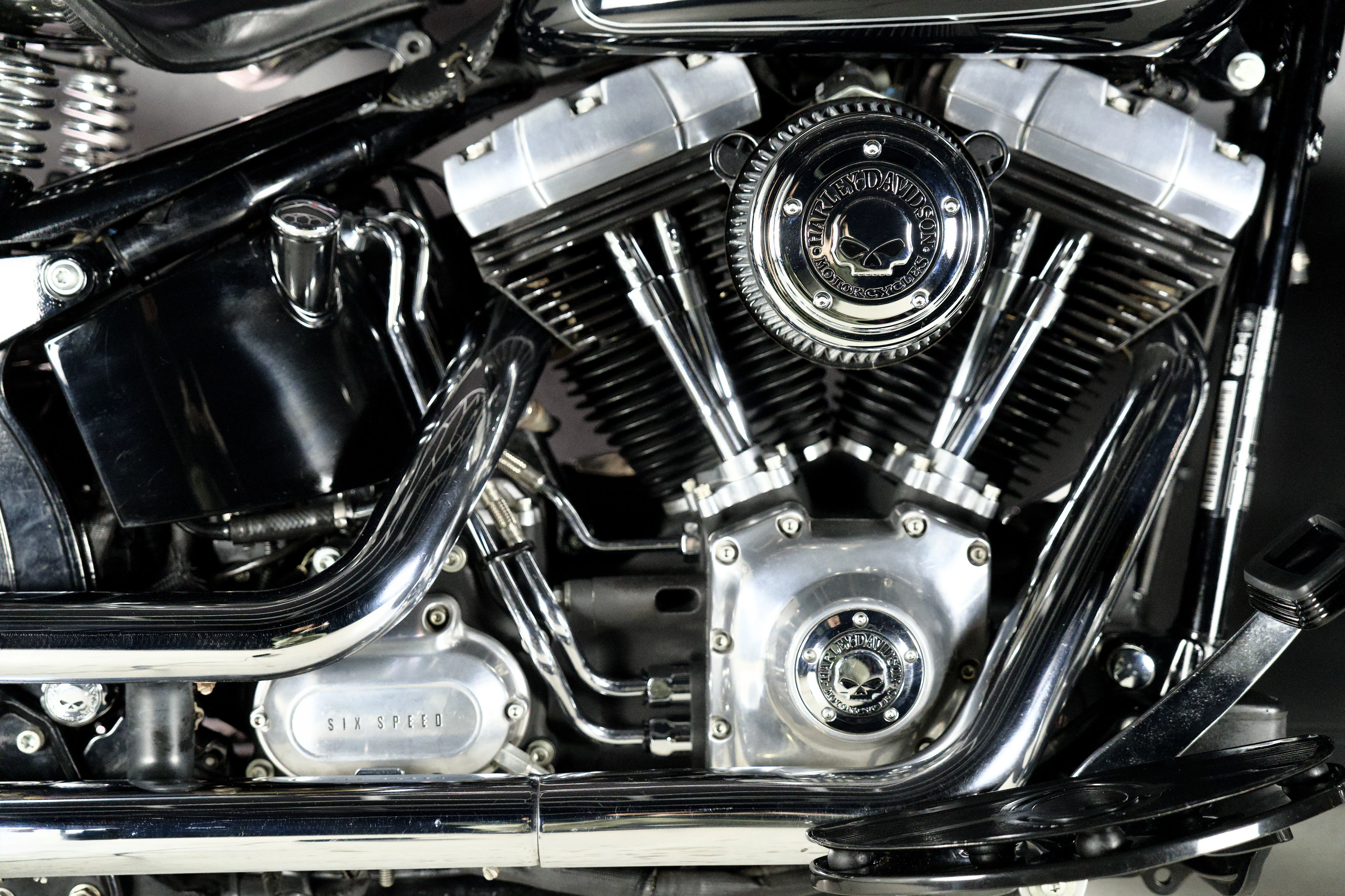 Cross Bones vue latérale